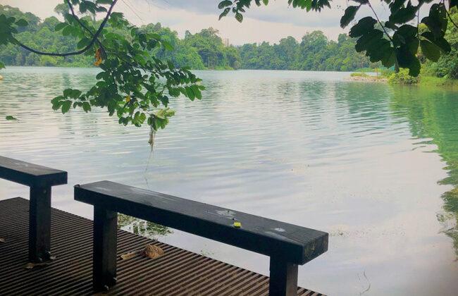bench near the calming lakes